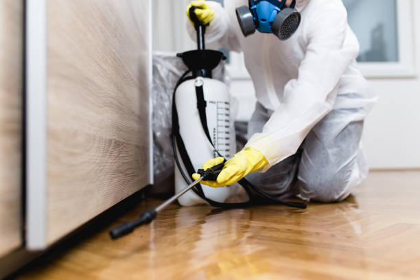 Best Commercial Pest Control Services  in Carpendale, WV