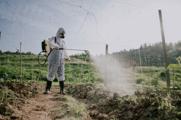Best Exterminator Services  in Carpendale, WV