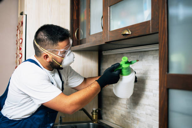 Pest Prevention Services in Carpendale, WV