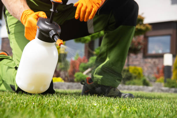 Best Rat Extermination Near Me  in Carpendale, WV