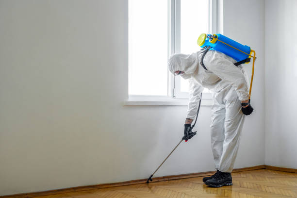 Best Pest Removal Services  in Carpendale, WV